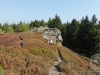 Erlbacher-Wanderwoche-2018-27