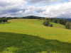 Erlbacher-Wanderwoche-2021-10.jpg