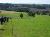 Erlbacher-Wanderwoche-2021-19.jpg