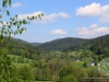 IMG_0994.jpg