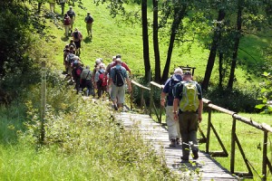Erlbacher Wanderwoche 2012