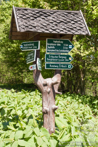 Erlbacher Wanderwoche 2015