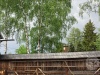 ebw14_03.jpg