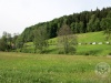 Bergwanderung2015_09