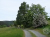 Bergwanderung2015_13