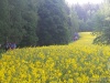 Bergwanderung_2_2016_07