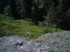 ebw17_12_cj