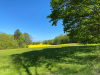 ebw21_05