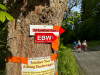 ebw24_07_mk