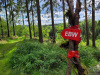 ebw25_13