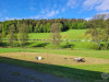 ebw26_04