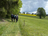 ebw26_20