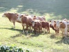 EWW15_24