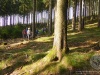 Erlbacher-Wanderwoche-2018-12