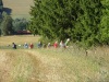 Erlbacher-Wanderwoche-2019-42