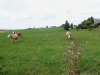 Erlbacher-Wanderwoche-2020-40
