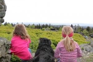 Hoher Stein Mai 2015
