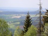 IMG_1186.jpg