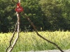 ebw-2011-01-ps