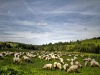 ebw-2011-19-ps