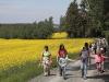 ebw-2011-49-ps