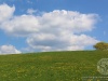 IMG_0526.jpg