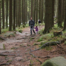 harz-152