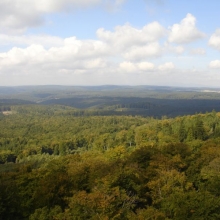 harz-260