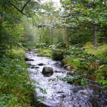 harz-59